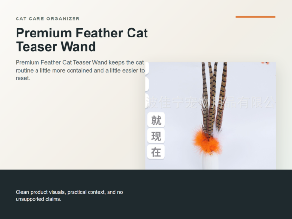Premium Feather Cat Teaser Wand Hero ecommerce image